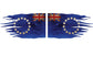 Cook Islands Flag Twin Pack 15 Stars Car Sticker 17 x 10cm or 30 x 17cm